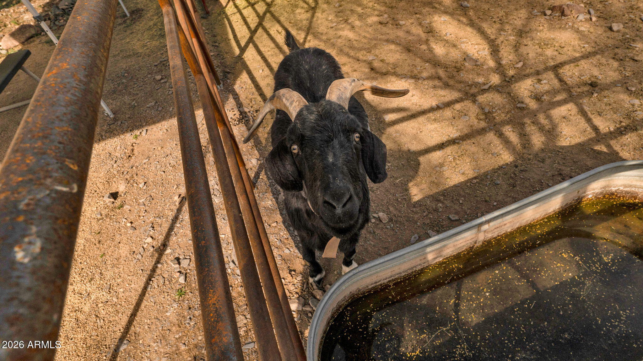 6447 E Lone Mountain Road N