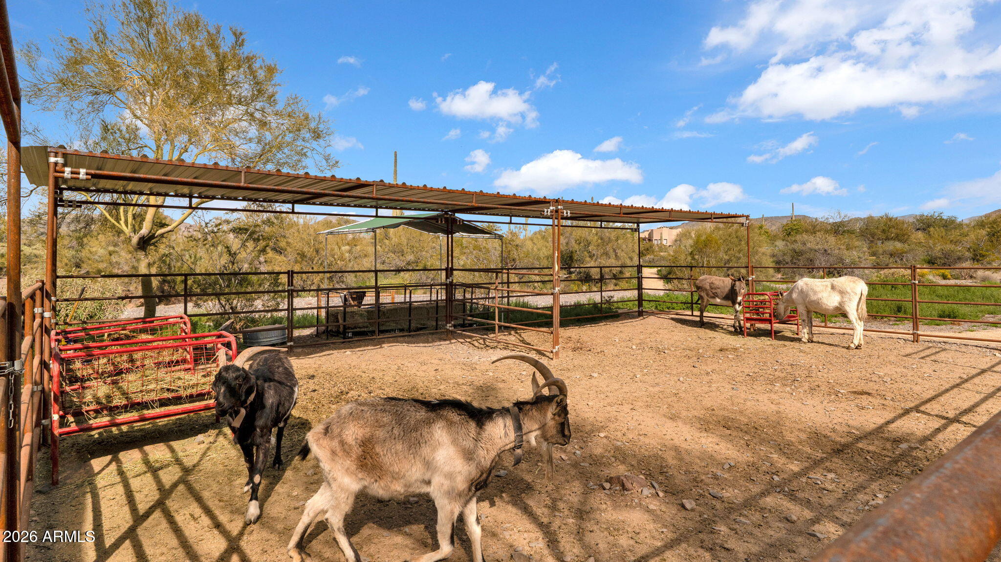 6447 E Lone Mountain Road N