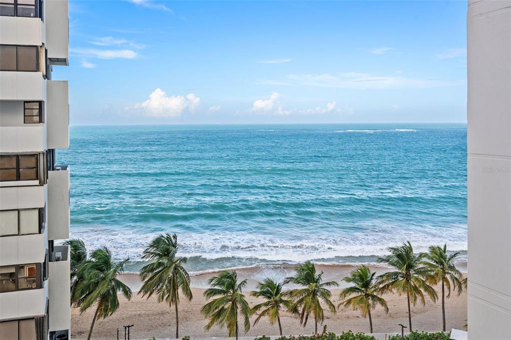 1485 ASHFORD AVE #8A