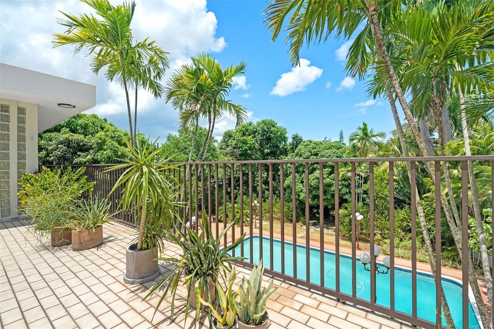 1825 CAMELIA ST #1825