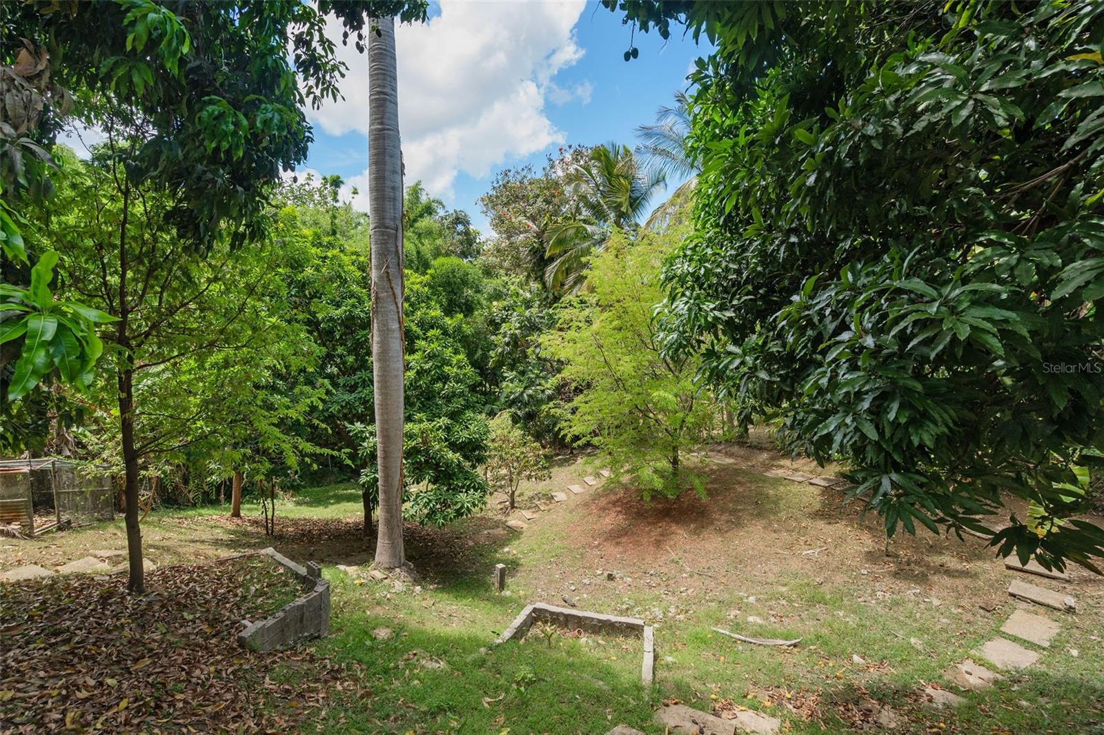 1825 CAMELIA ST #1825