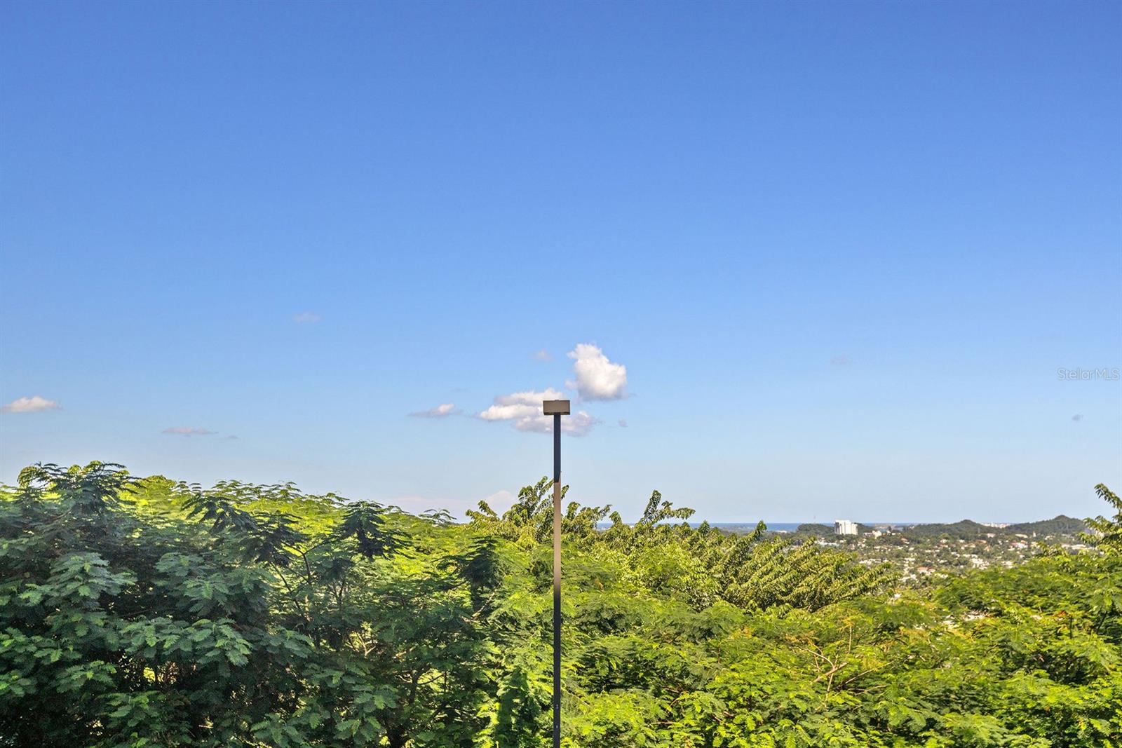 833 PLAZA DEL PRADO #202A