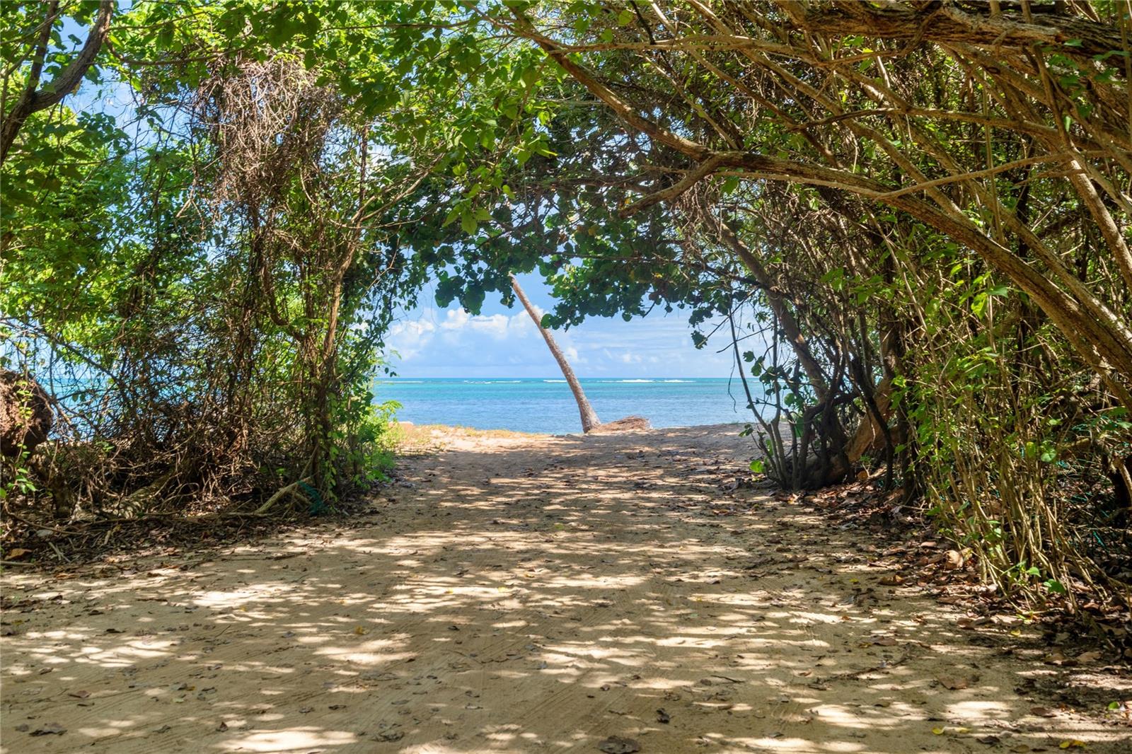 Camino Las Picuas BO. ZARZAL