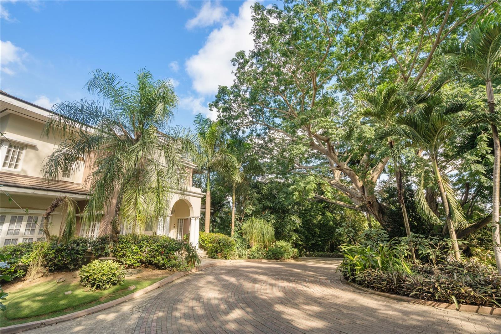 513 TINTILLO STREET ST