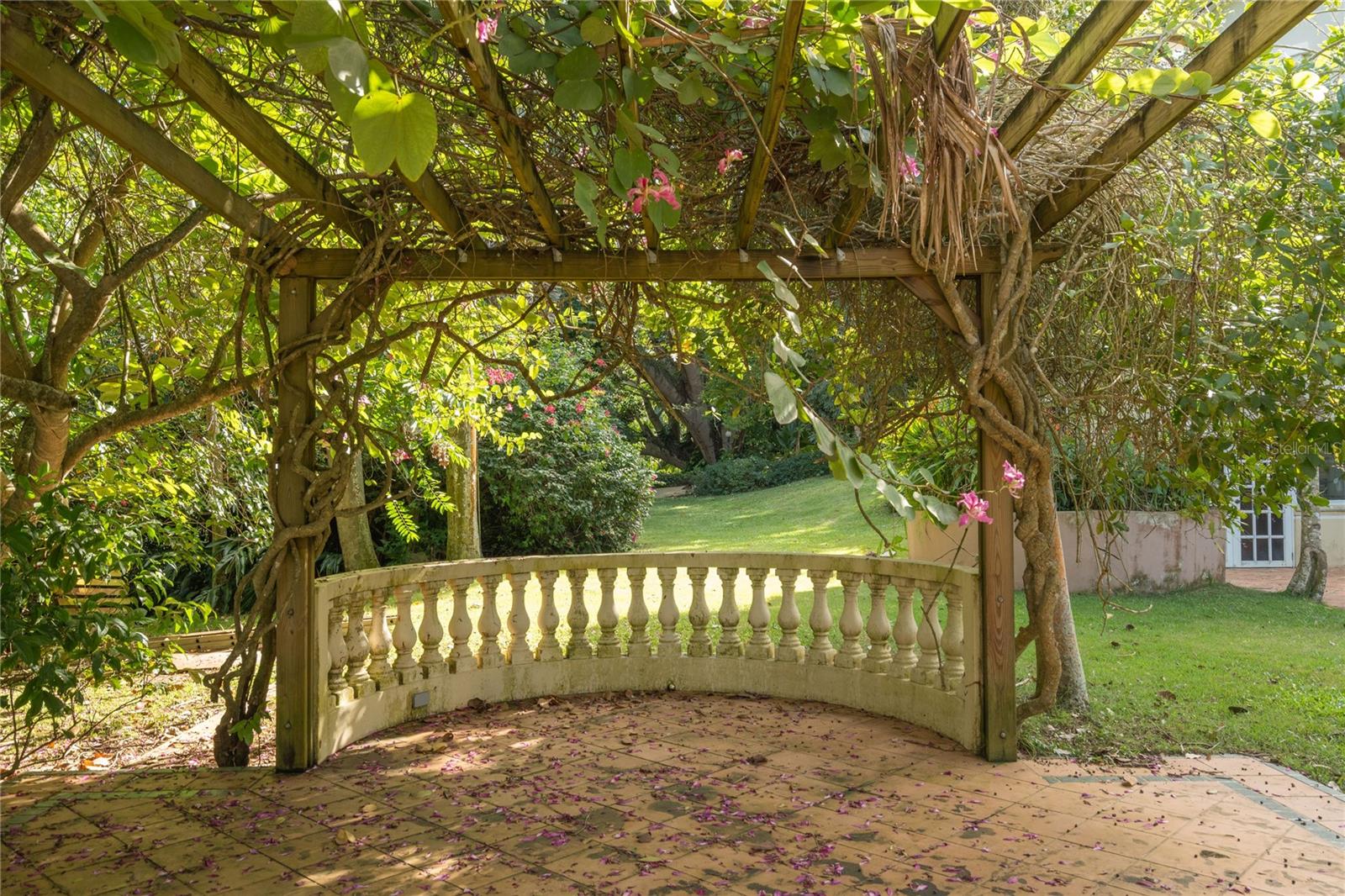 513 TINTILLO STREET ST