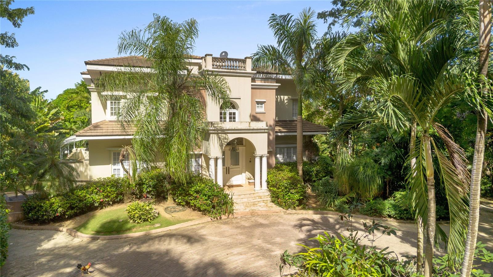 513 TINTILLO STREET ST