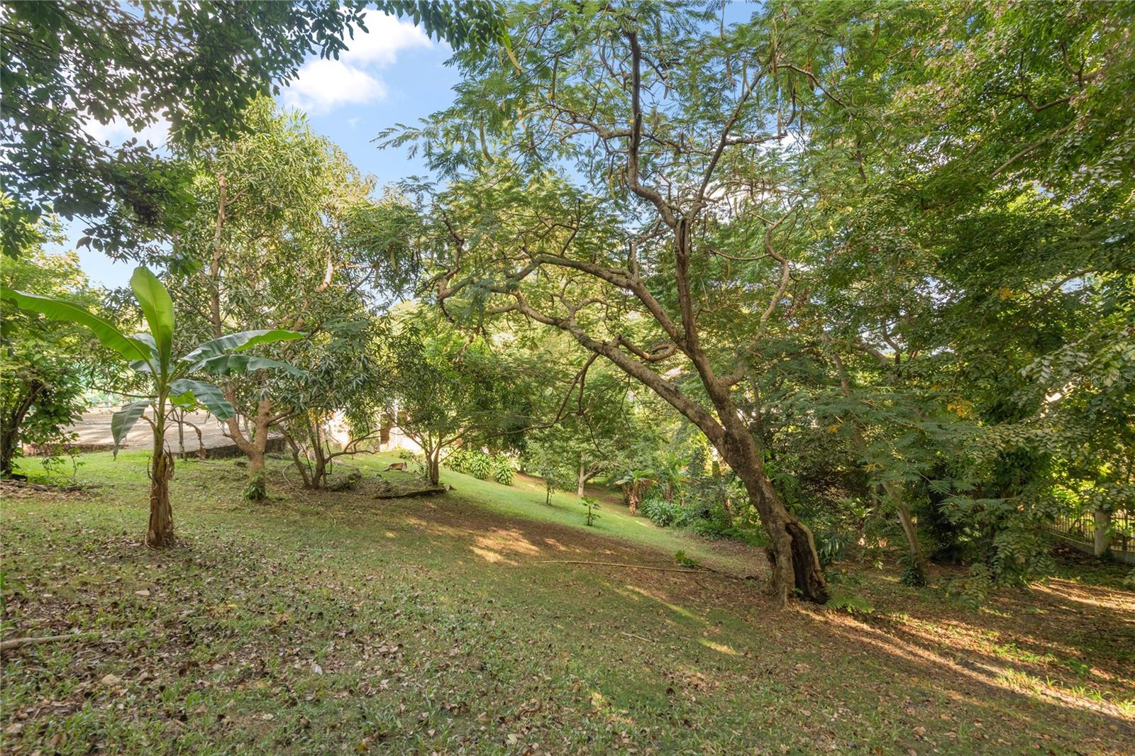 513 TINTILLO STREET ST