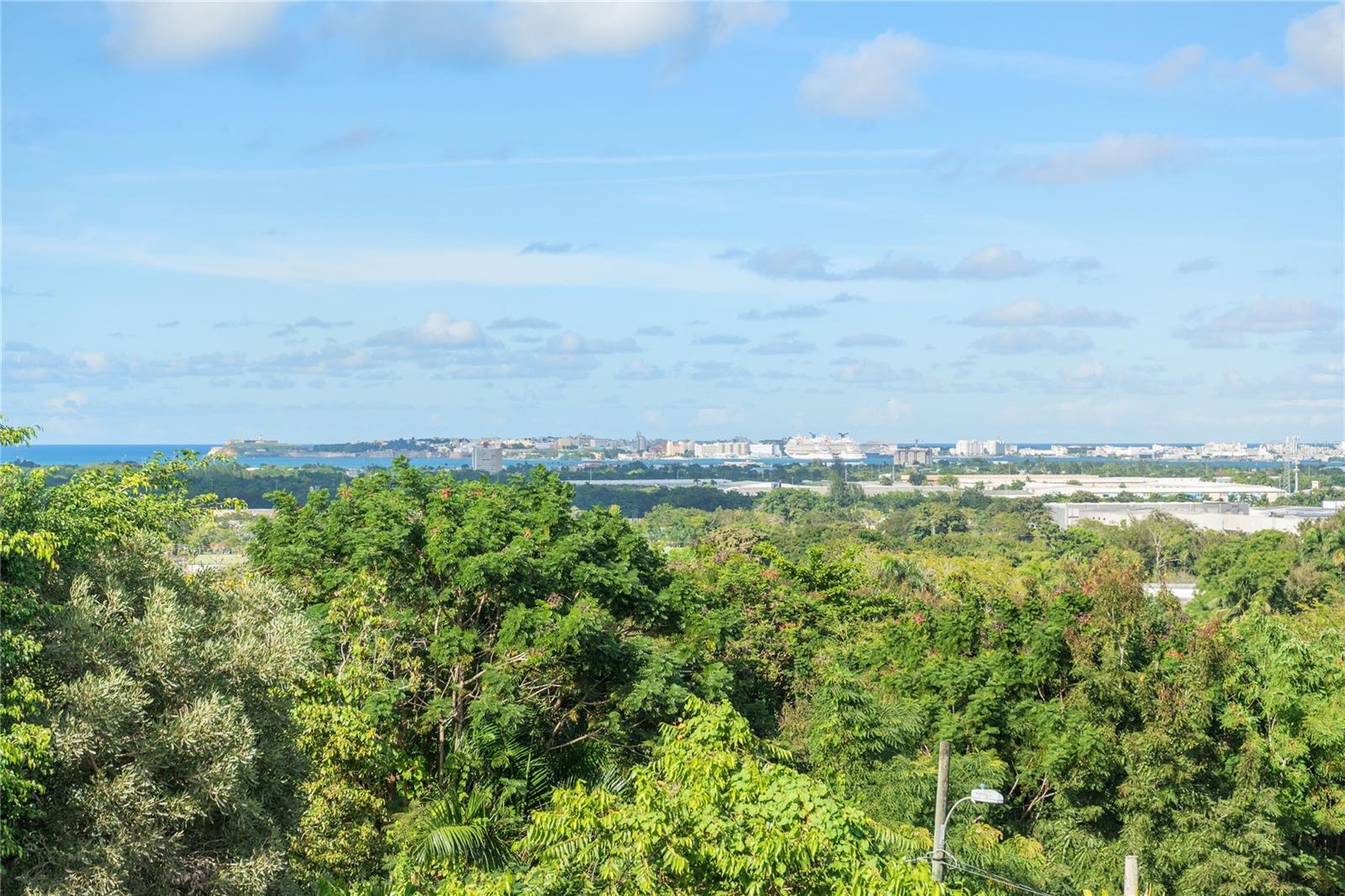 513 TINTILLO STREET ST