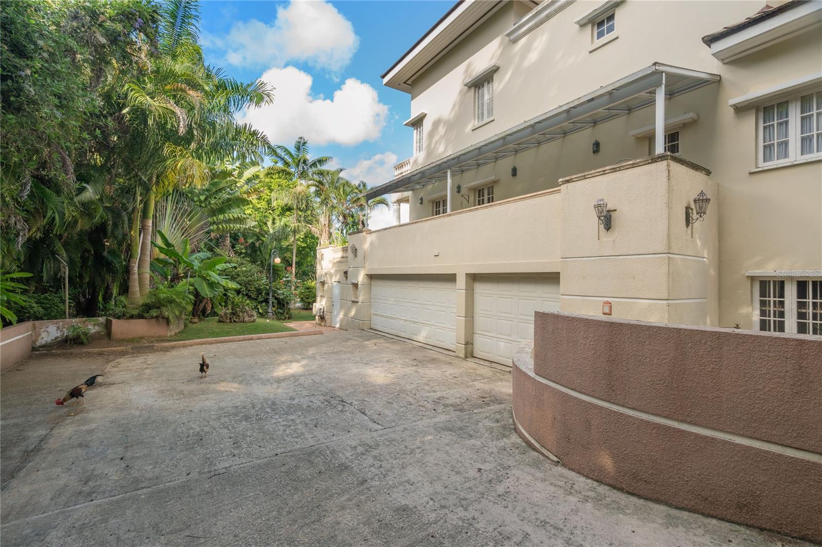 513 TINTILLO STREET ST