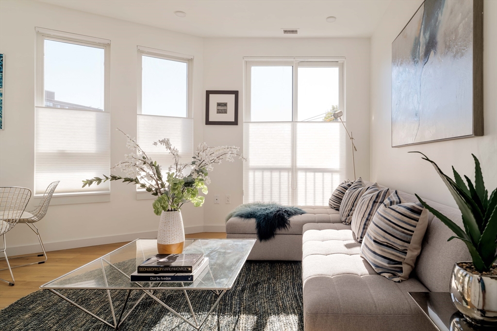 97-99 Elmwood Street # 310