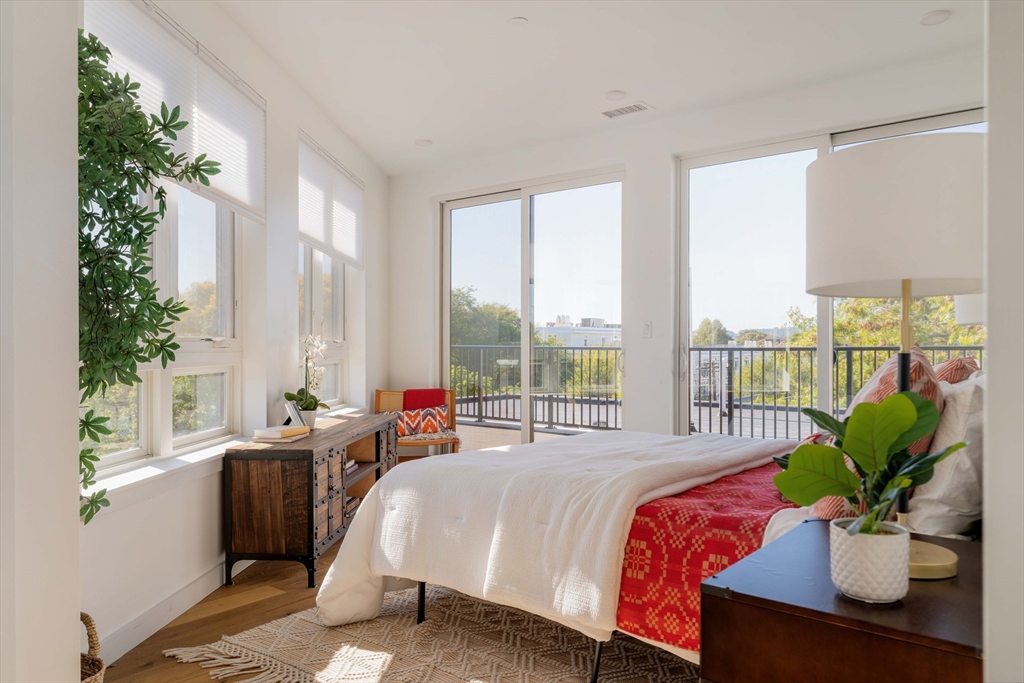 97-99 Elmwood Street # 310