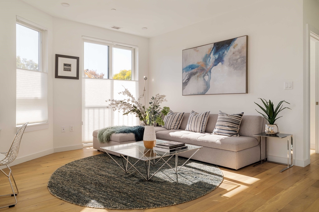 97-99 Elmwood Street # 310