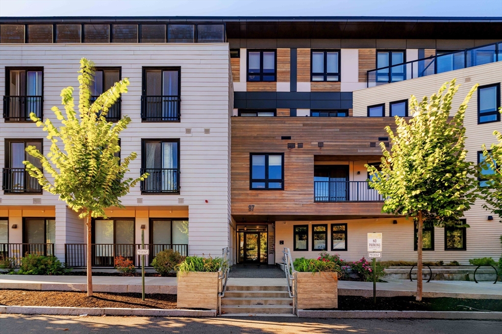 97-99 Elmwood Street # 313