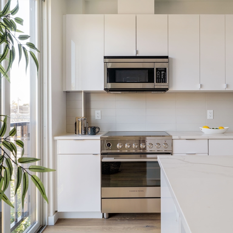 97-99 Elmwood Street # 313