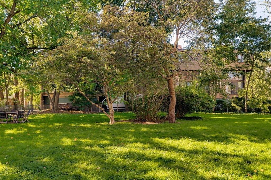 276 Harvard Street # 7