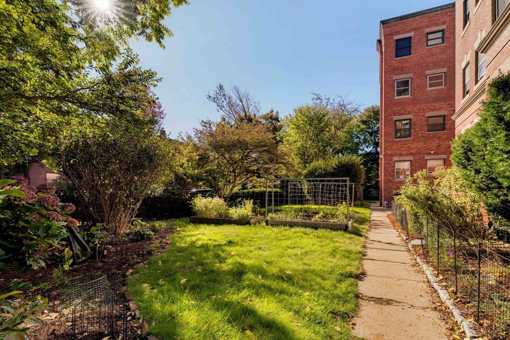 276 Harvard Street # 7