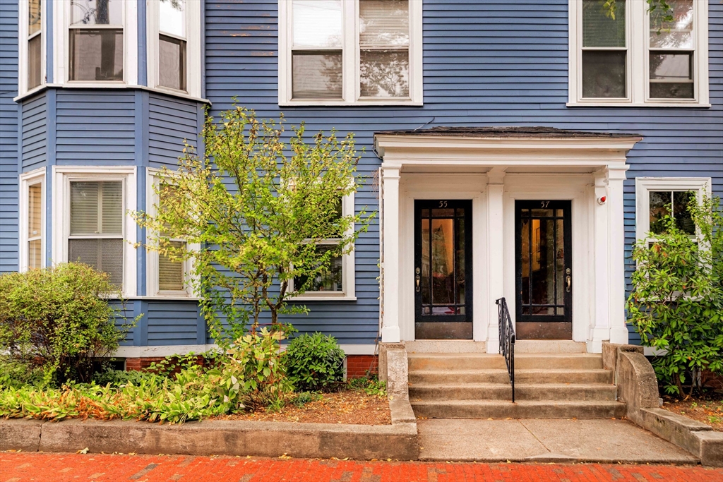 55 Ellery Street # 3