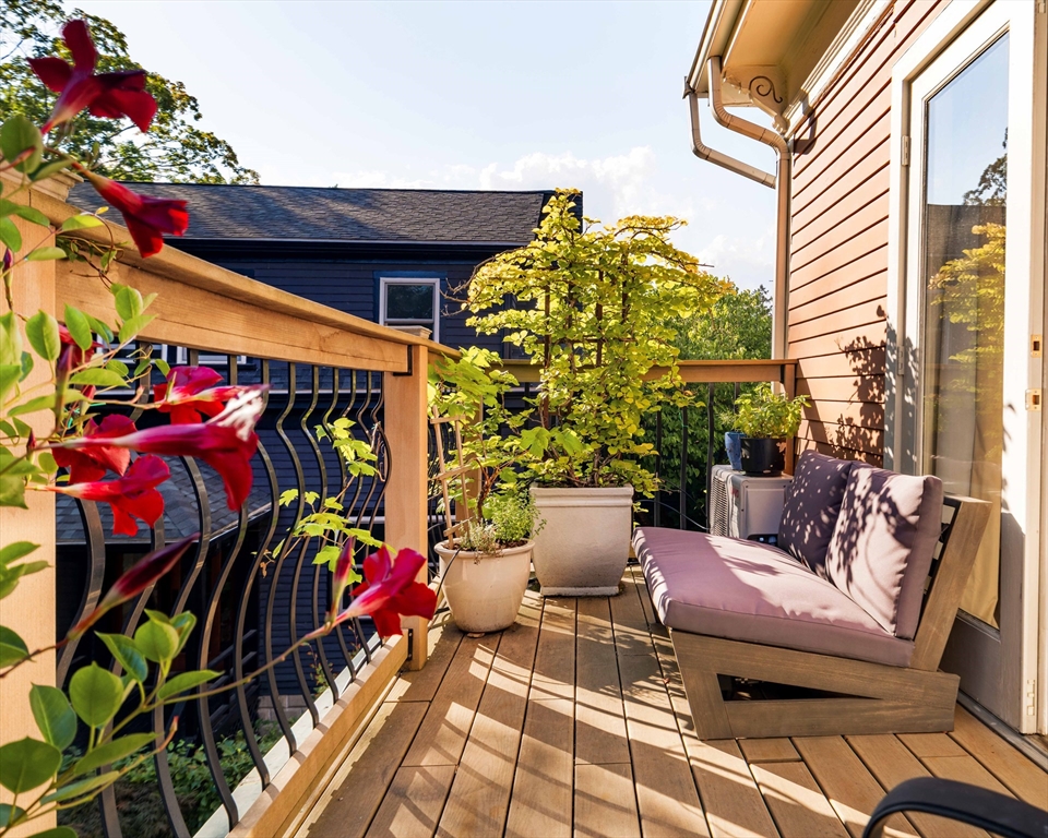 61 Dana Street # 4