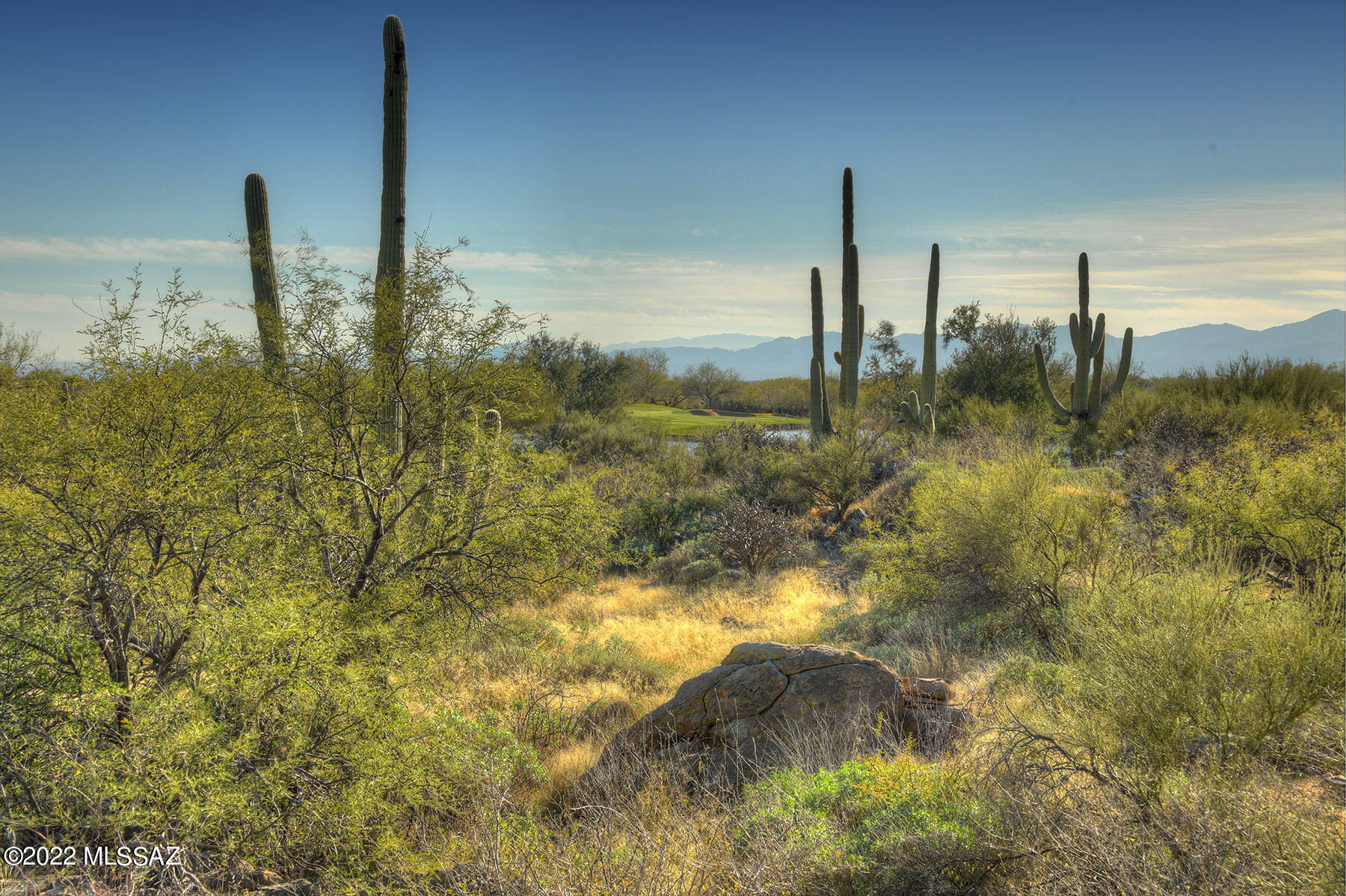 14451 N Giant Saguaro Place Unit: 32