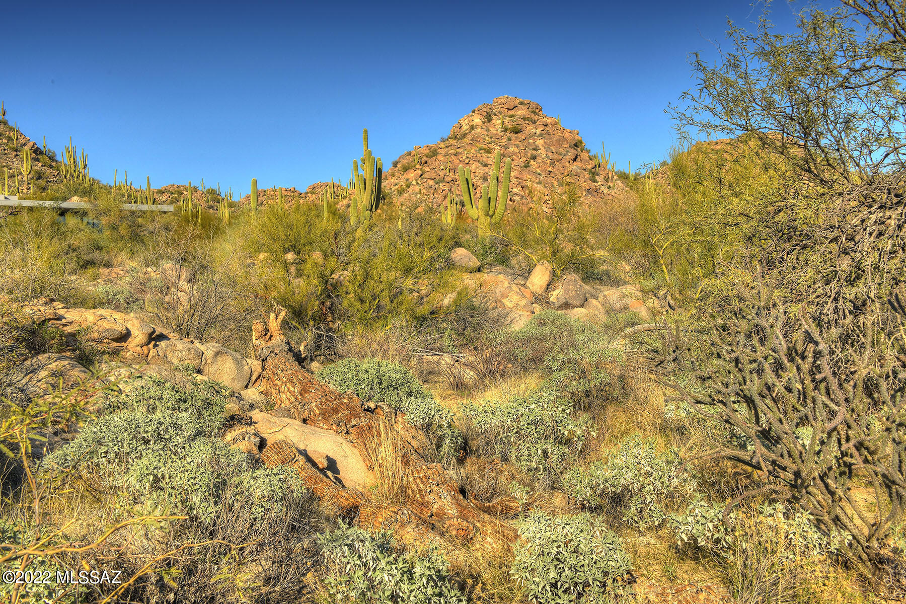 14451 N Giant Saguaro Place Unit: 32