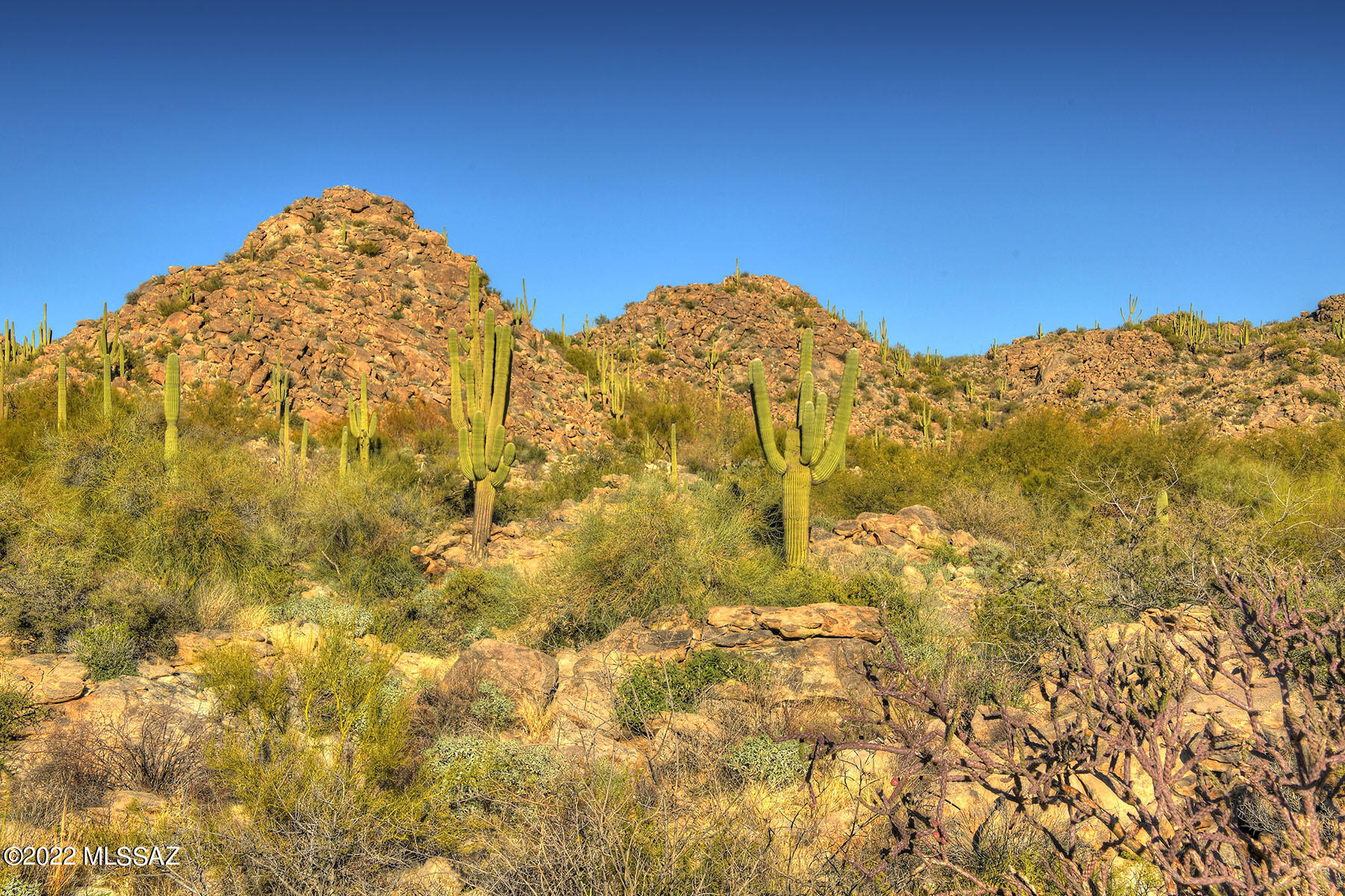 14451 N Giant Saguaro Place Unit: 32