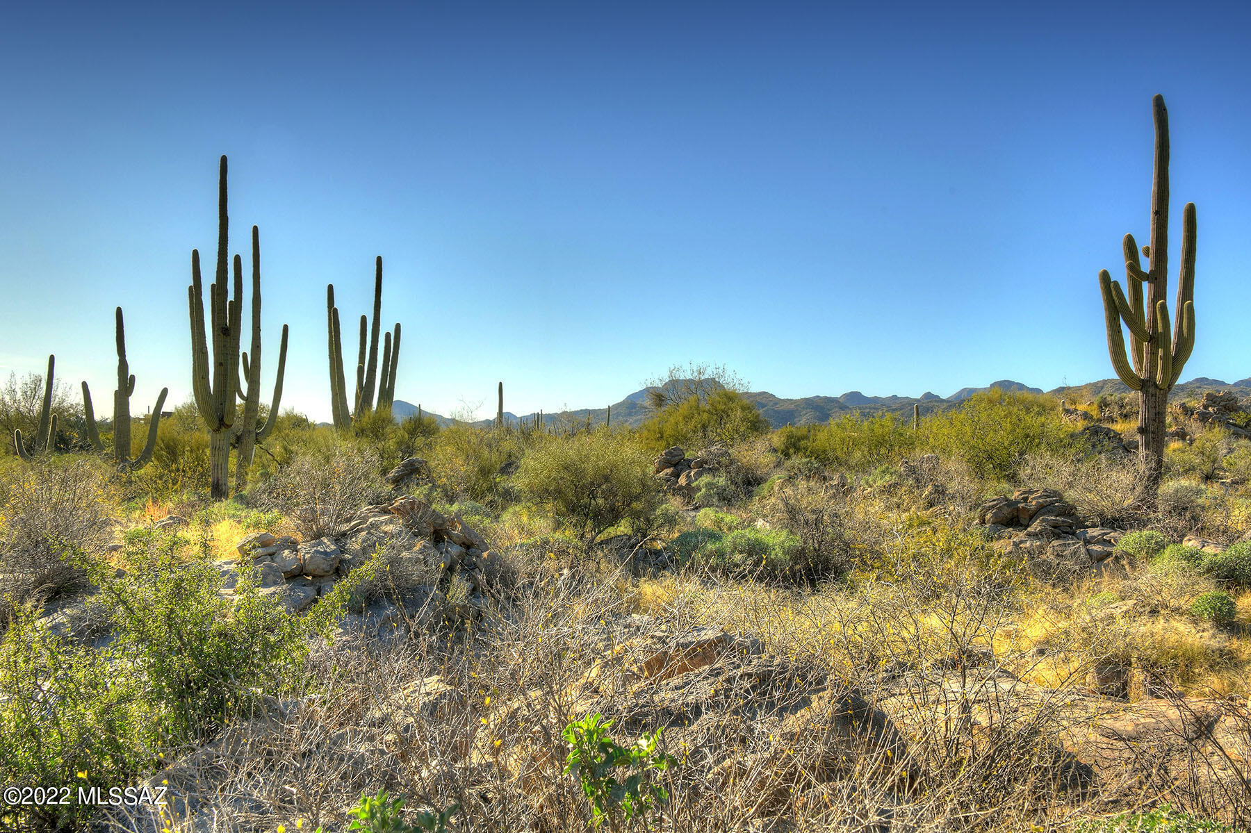 14451 N Giant Saguaro Place Unit: 32