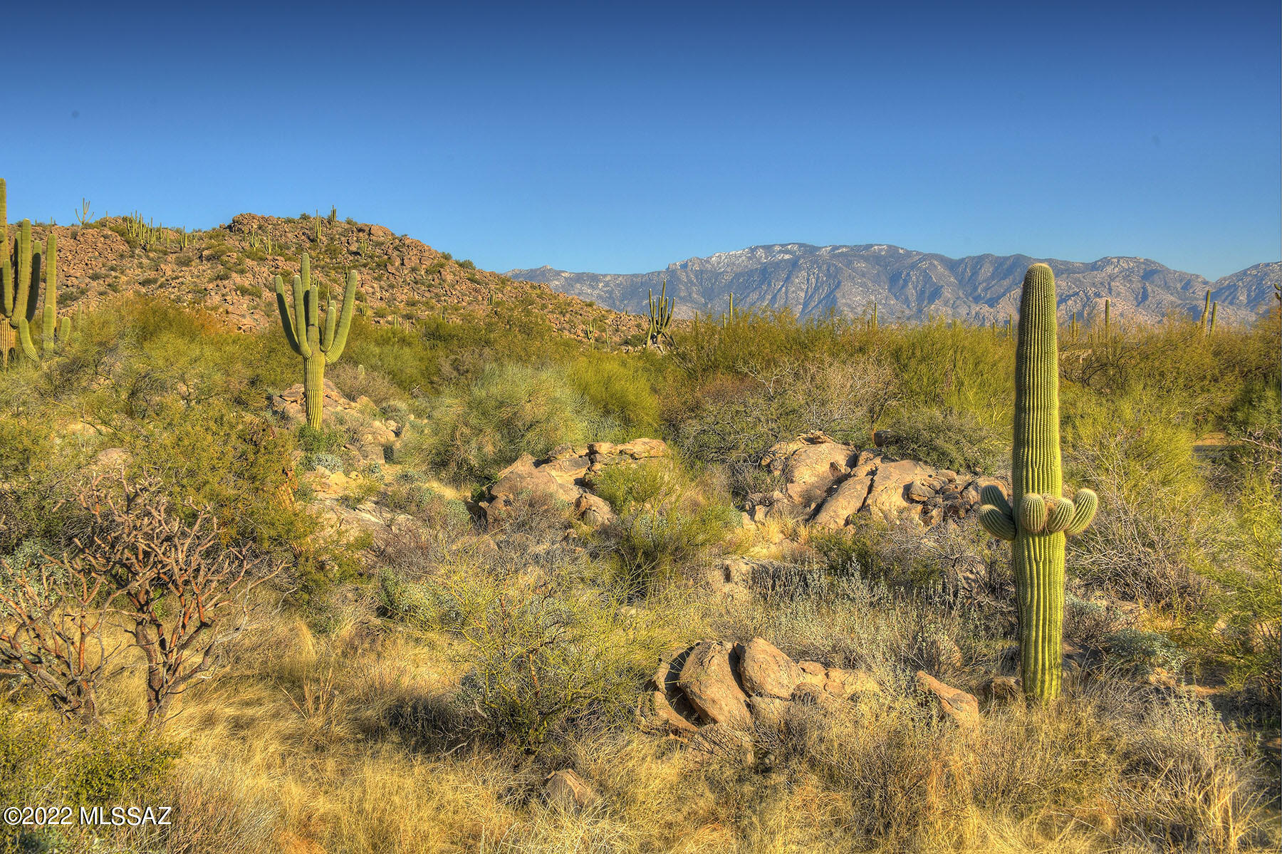 14451 N Giant Saguaro Place Unit: 32