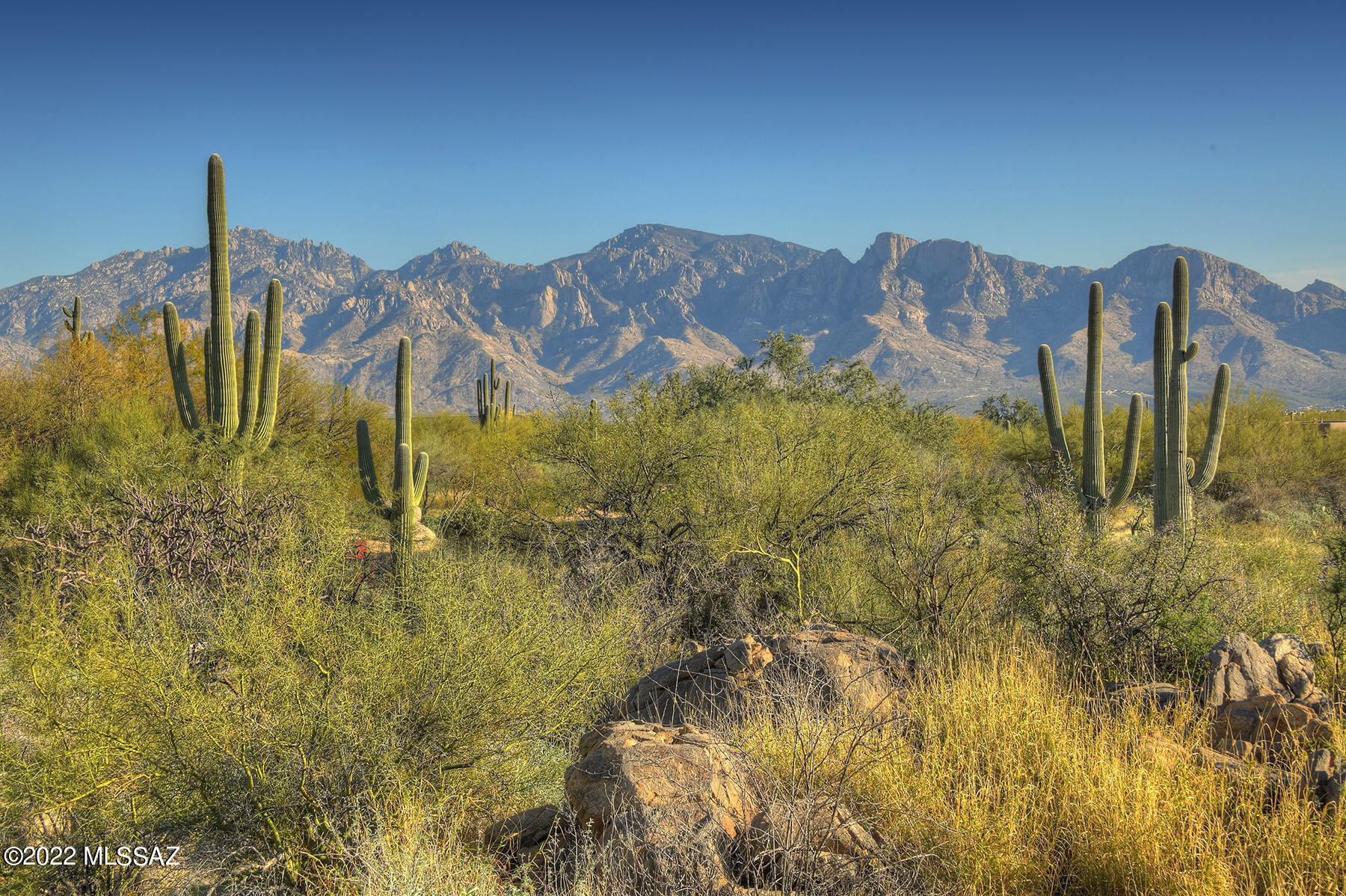 14451 N Giant Saguaro Place Unit: 32