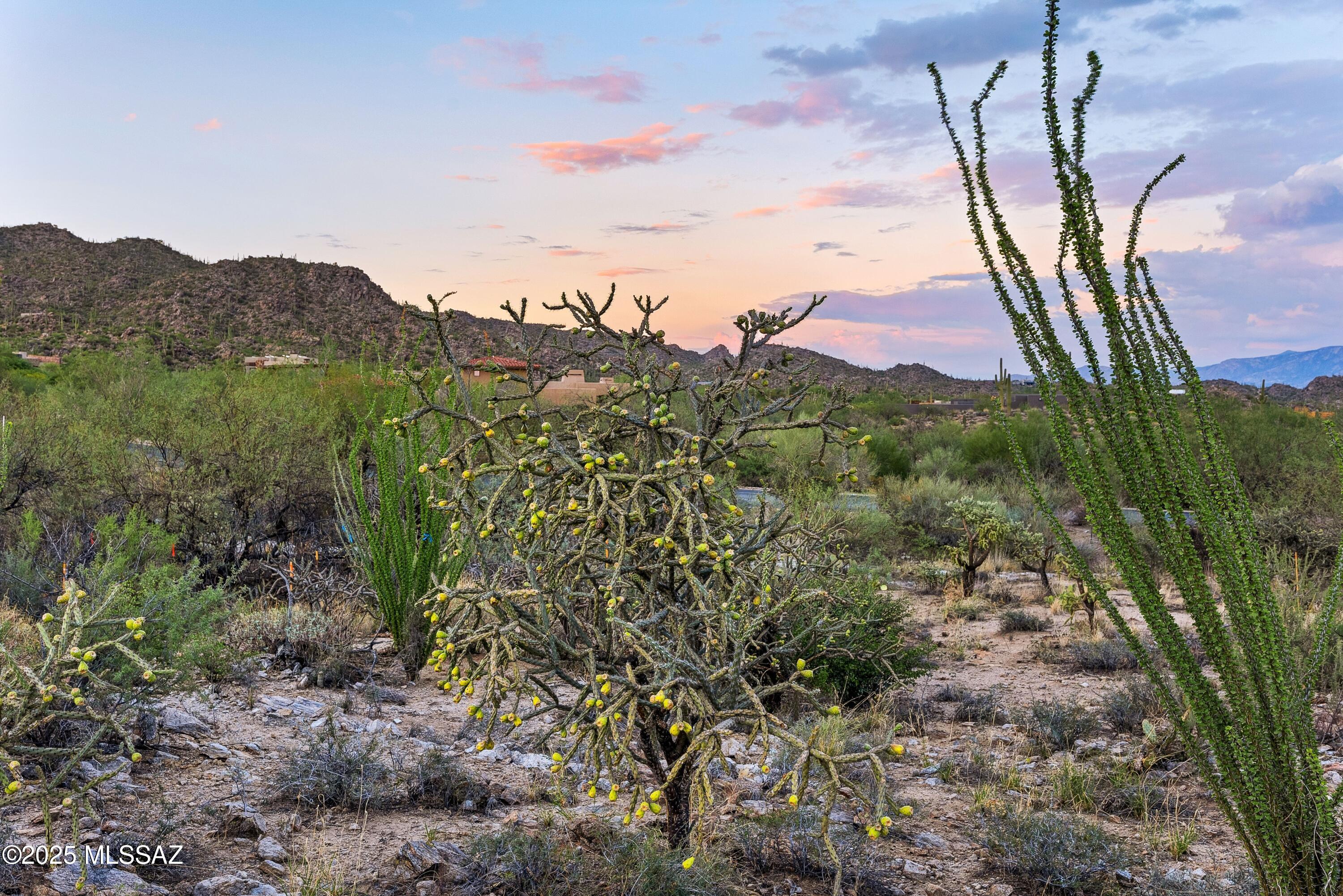 1079 W Tortolita Mountain Ci Circle W Unit: 170