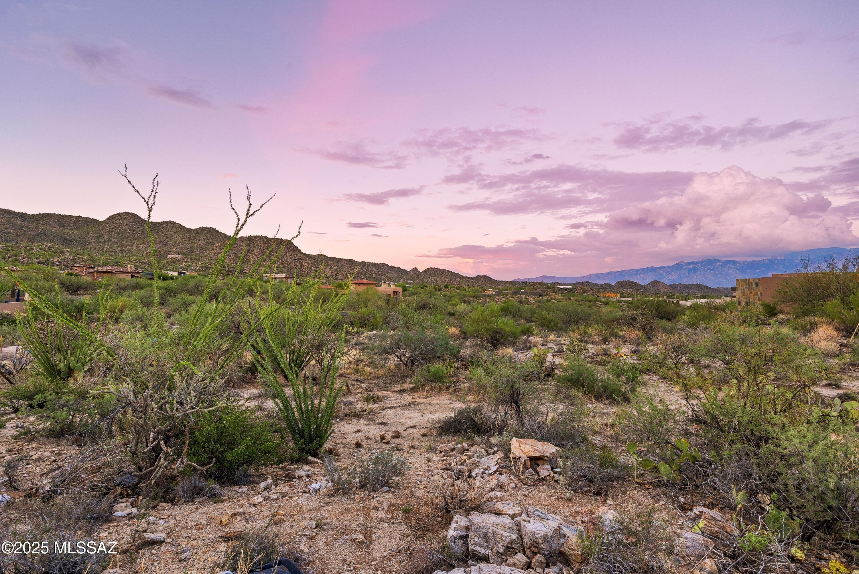 1079 W Tortolita Mountain Ci Circle W Unit: 170