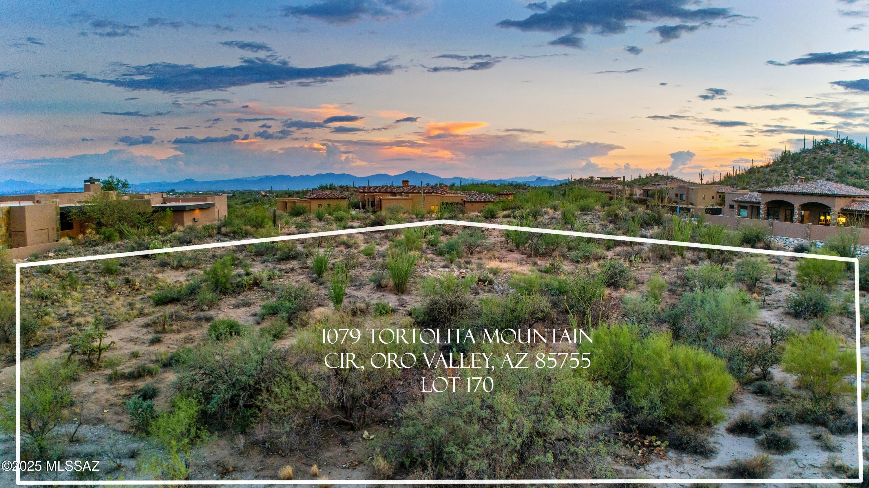 1079 W Tortolita Mountain Ci Circle W Unit: 170
