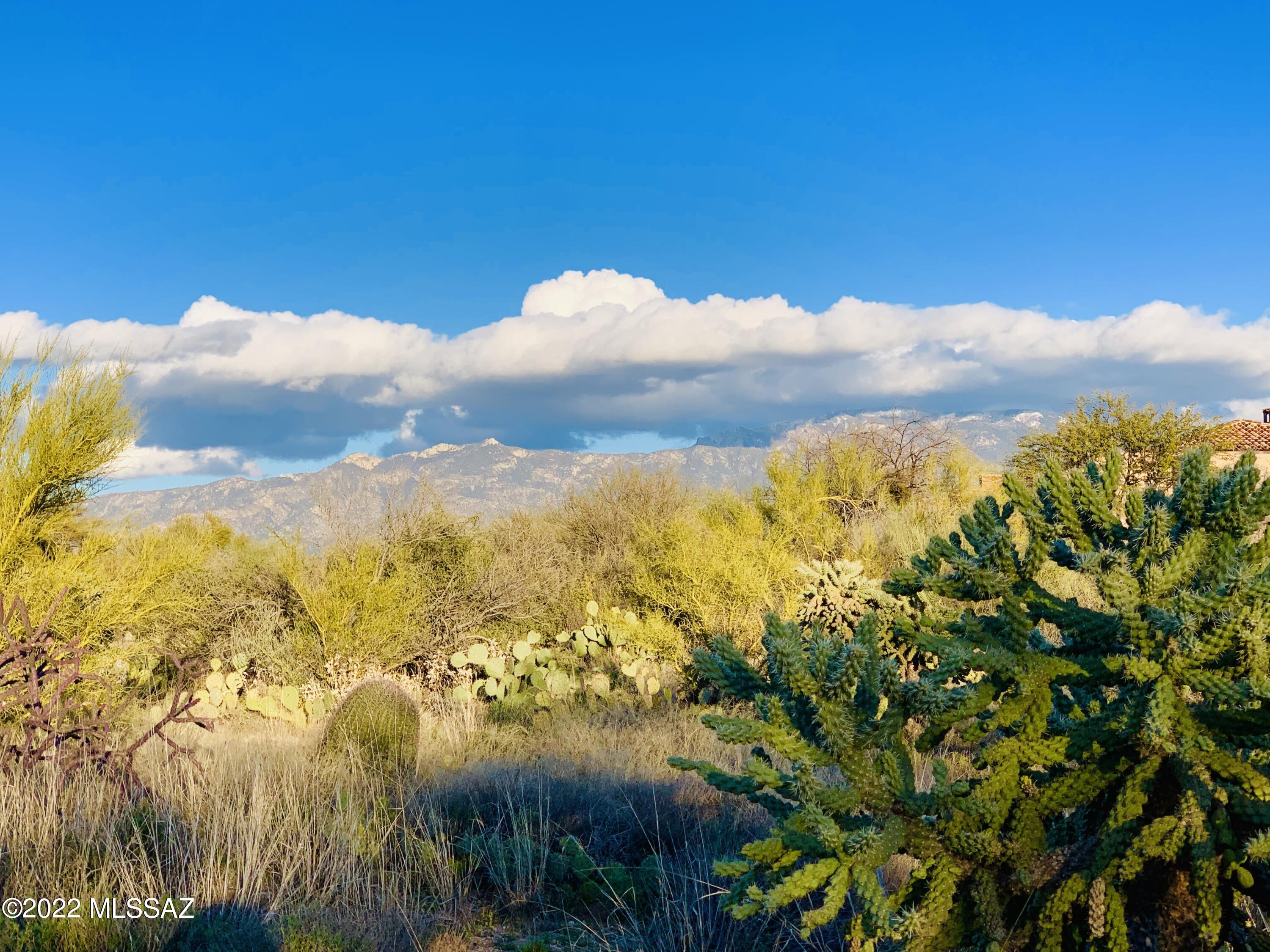 1235 W Weathered Stone Place Unit: 118