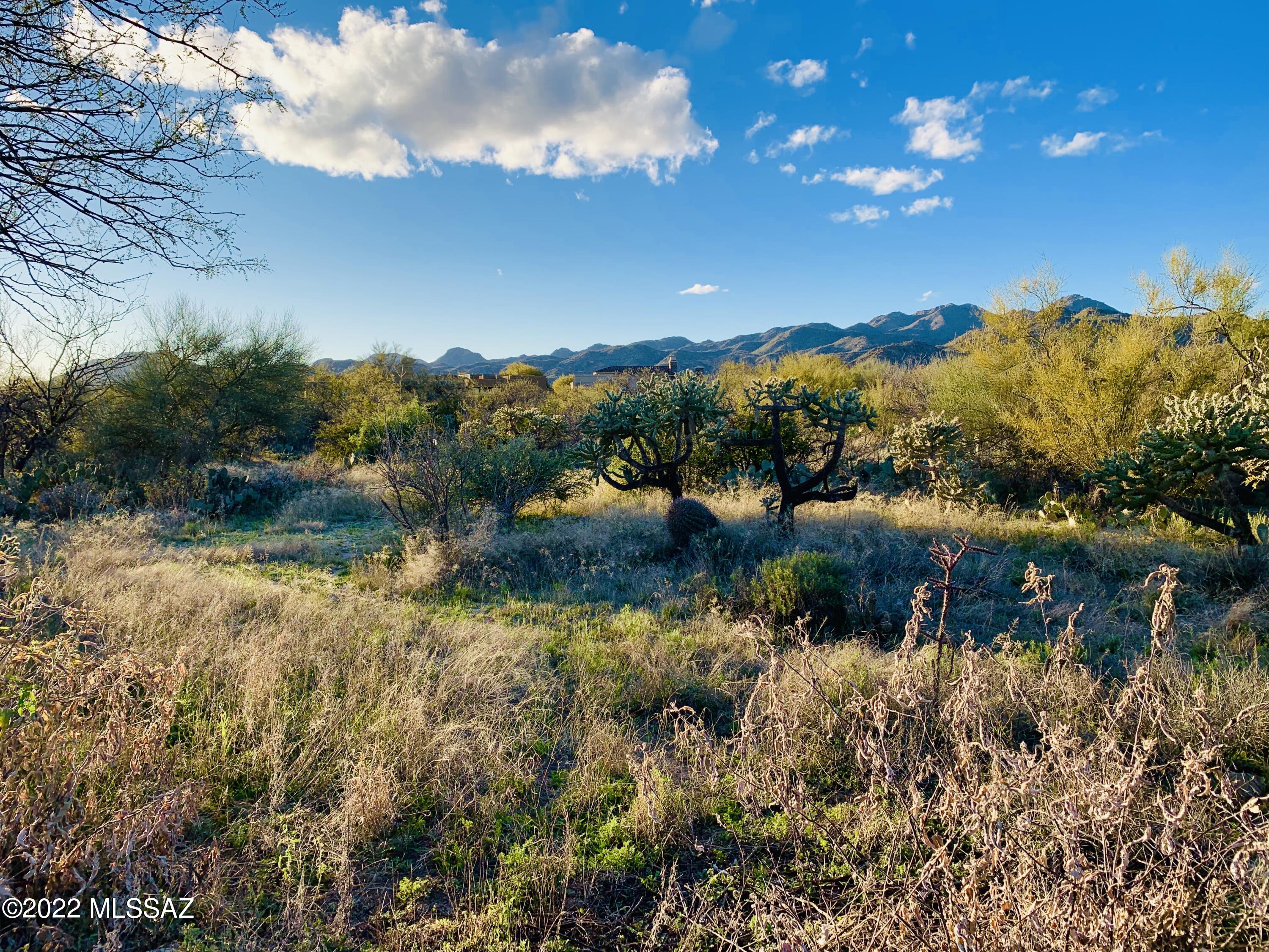 1235 W Weathered Stone Place Unit: 118