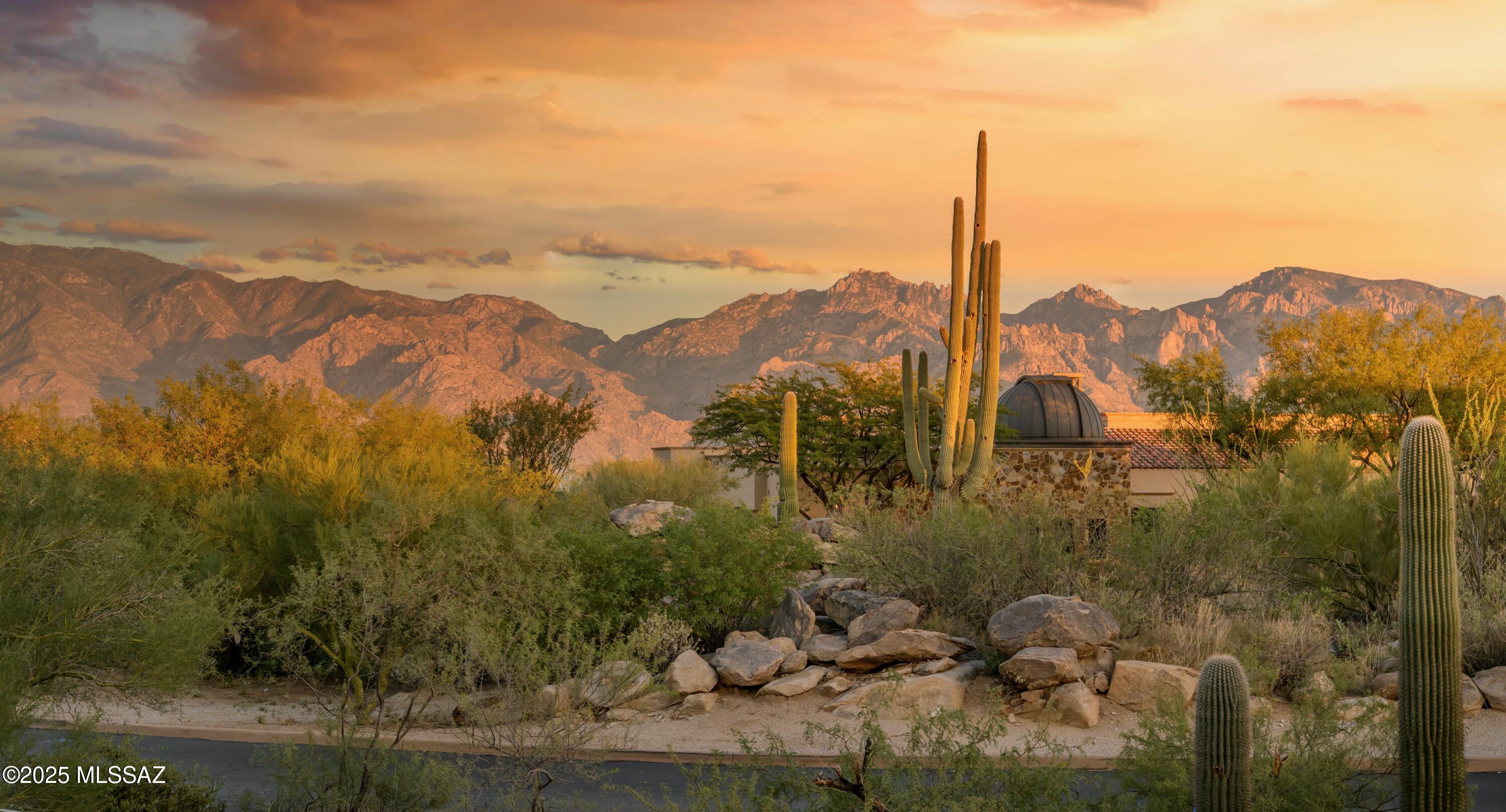 14311 N Giant Saguaro Place Unit: 27