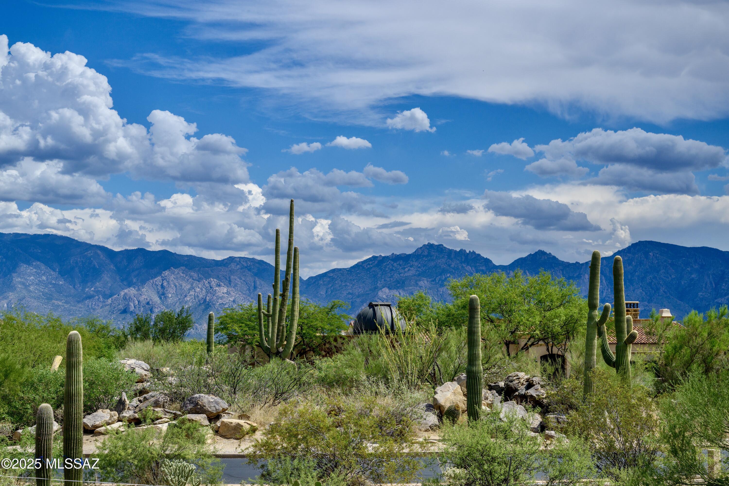 14311 N Giant Saguaro Place Unit: 27