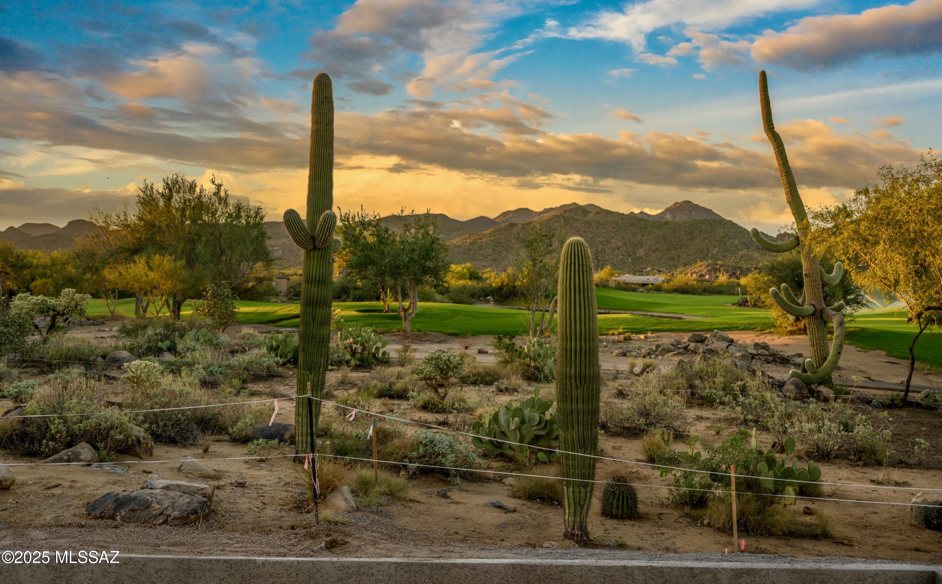 14311 N Giant Saguaro Place Unit: 27