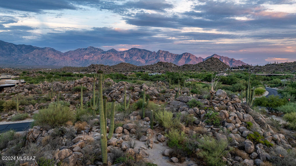 14731 N Strong Stone Drive