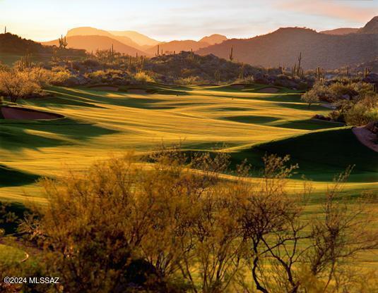 14731 N Strong Stone Drive