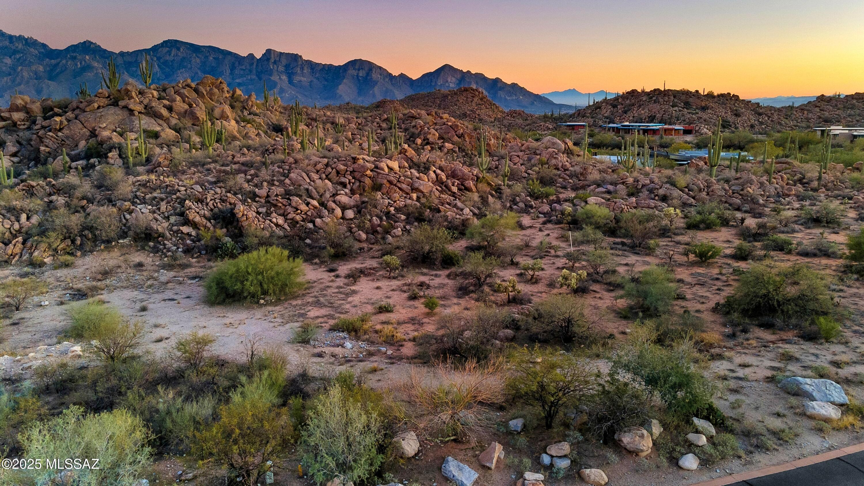 1484 W Tortolita Mountain Circle 294