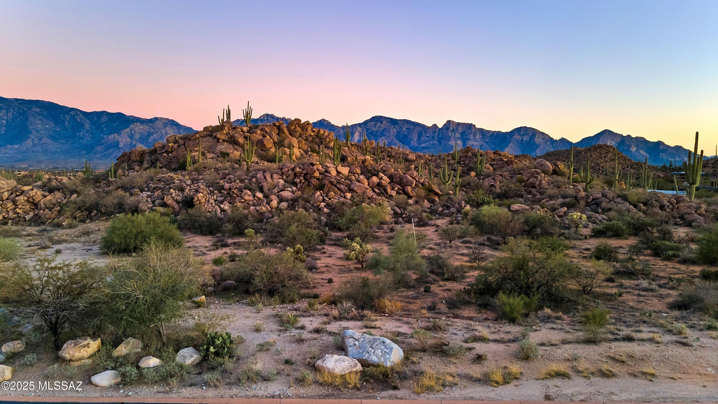 1484 W Tortolita Mountain Circle 294