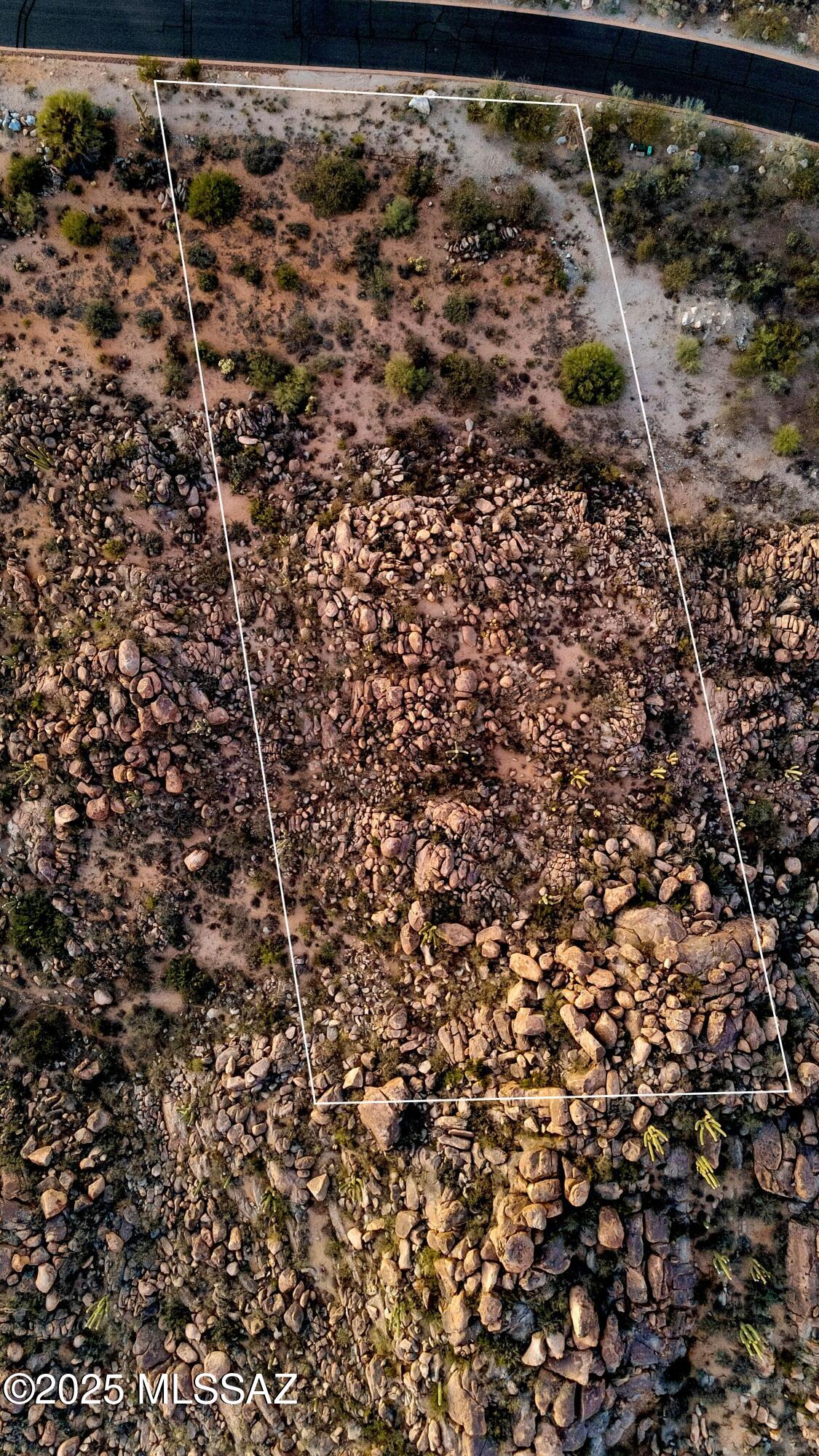 1484 W Tortolita Mountain Circle 294