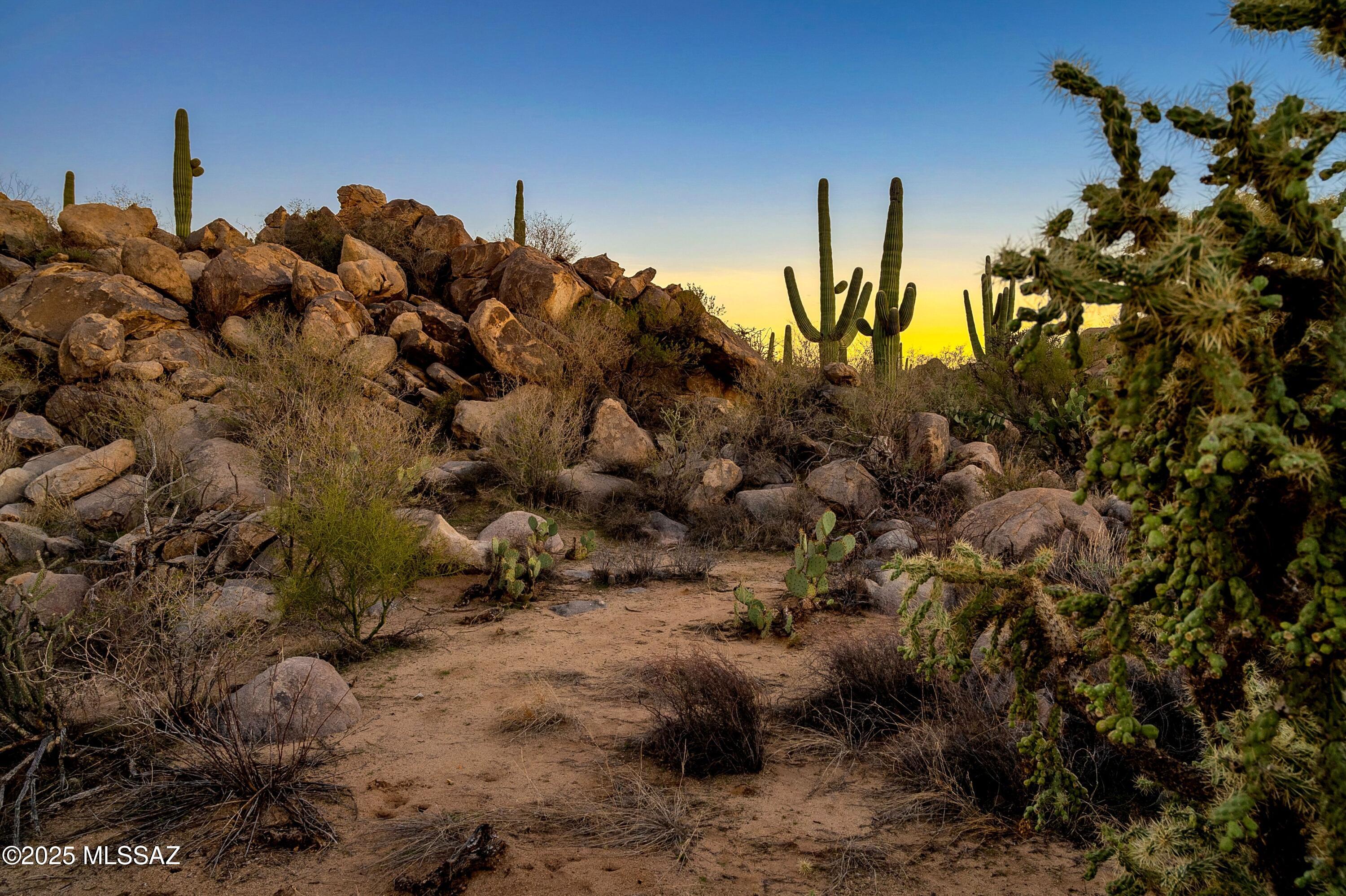 1484 W Tortolita Mountain Circle 294