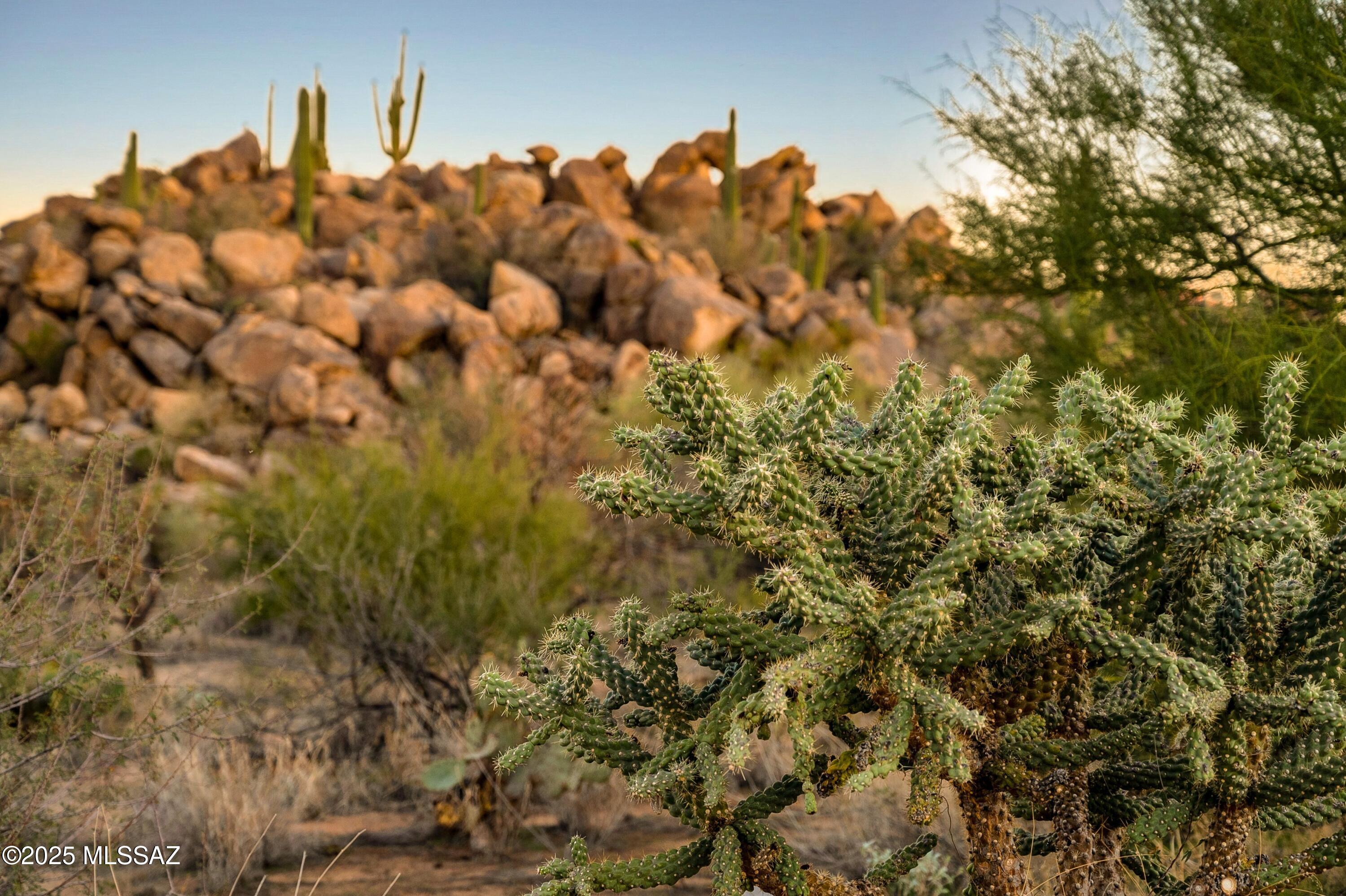 1484 W Tortolita Mountain Circle 294