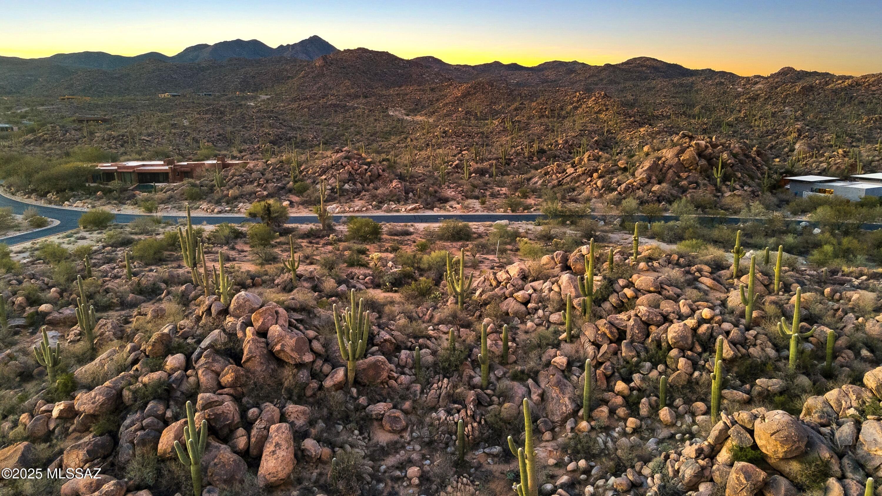 1484 W Tortolita Mountain Circle 294