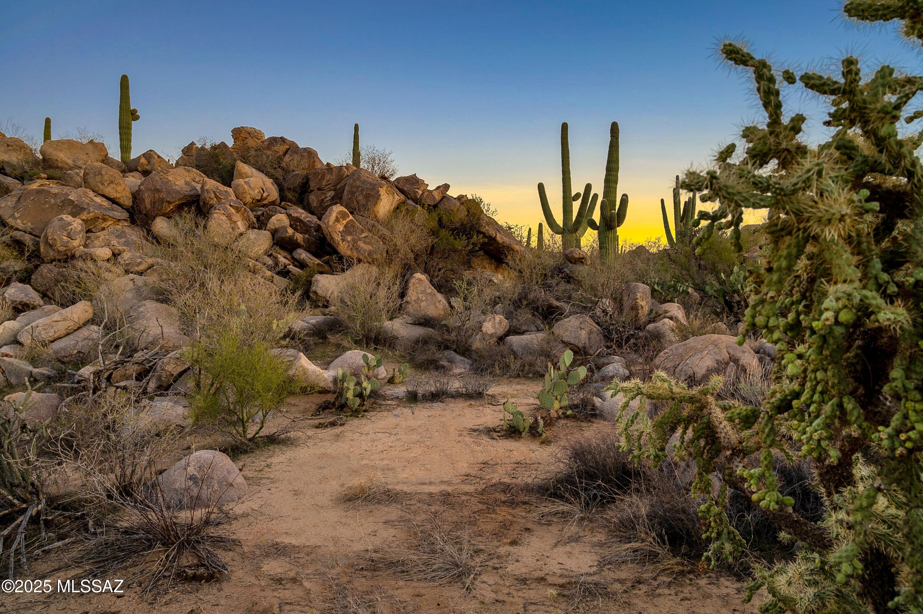 1484 W Tortolita Mountain Circle 294