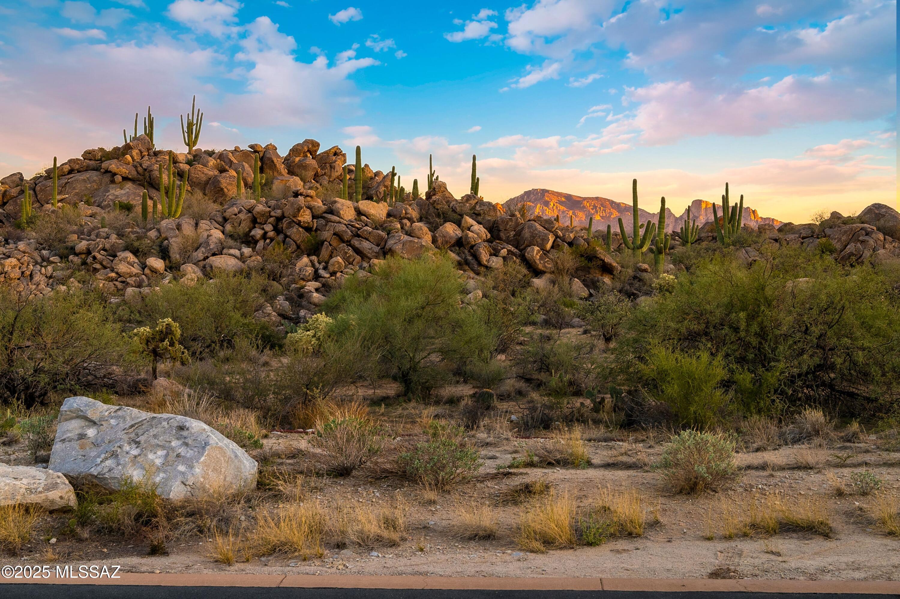 1484 W Tortolita Mountain Circle 294