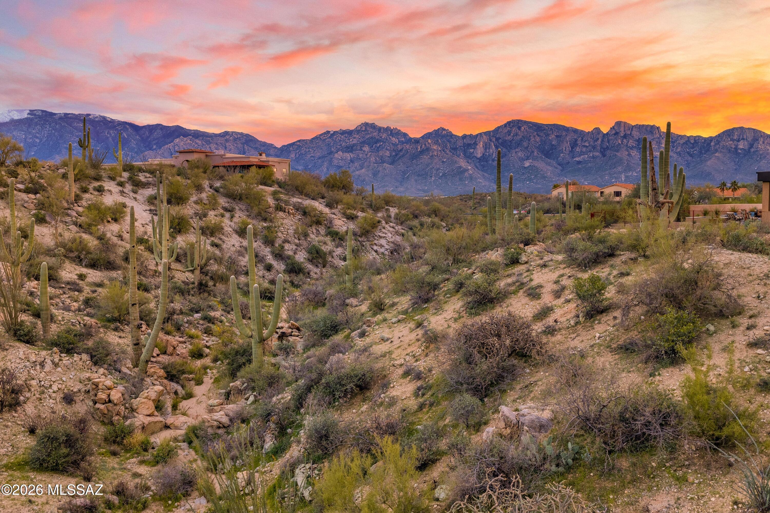 13948 N Flint Peak Place