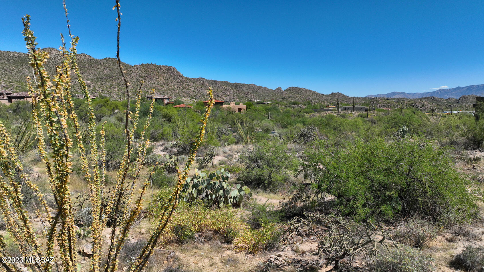1079 W Tortolita Mountain Circle W 170