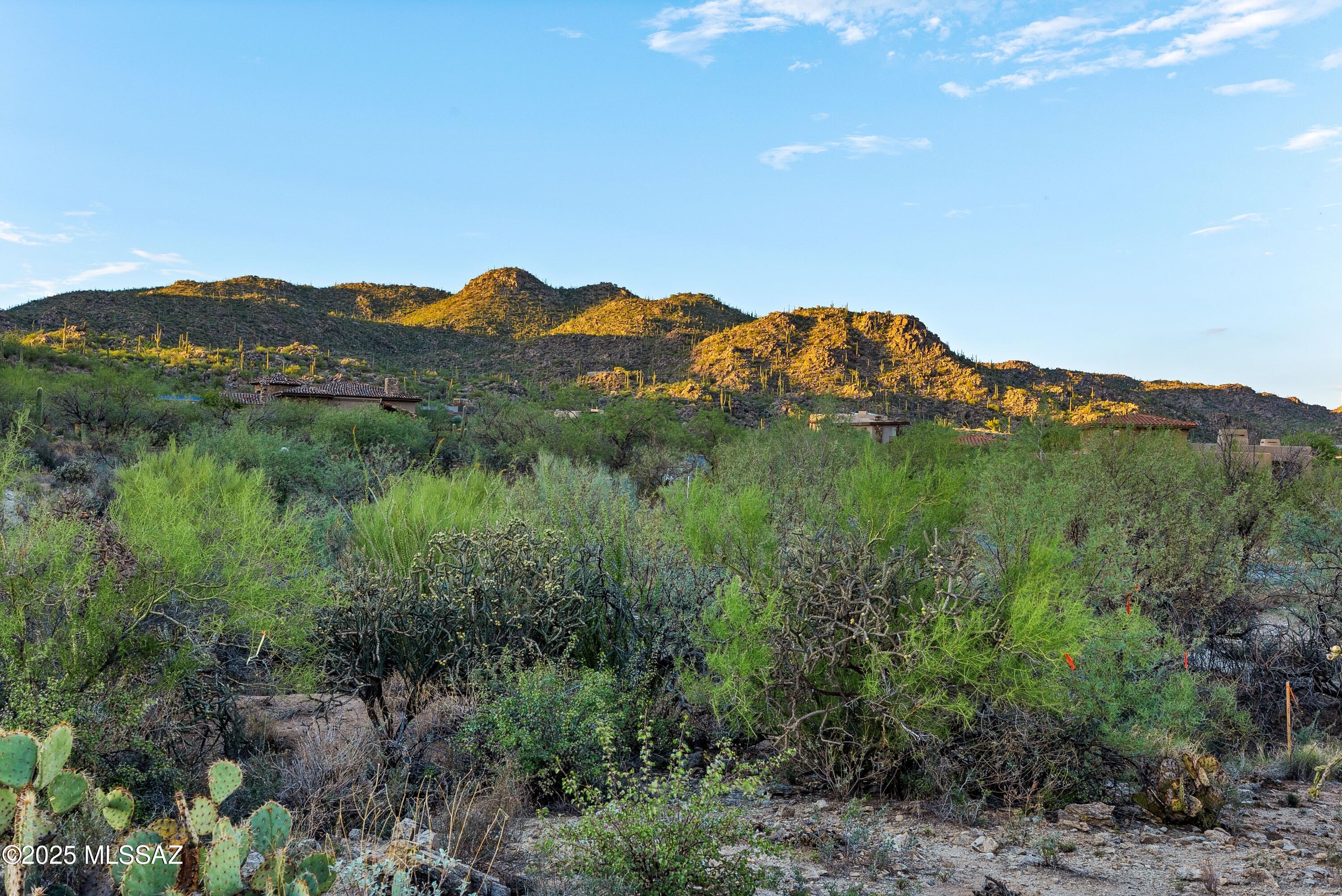 1079 W Tortolita Mountain Circle W 170