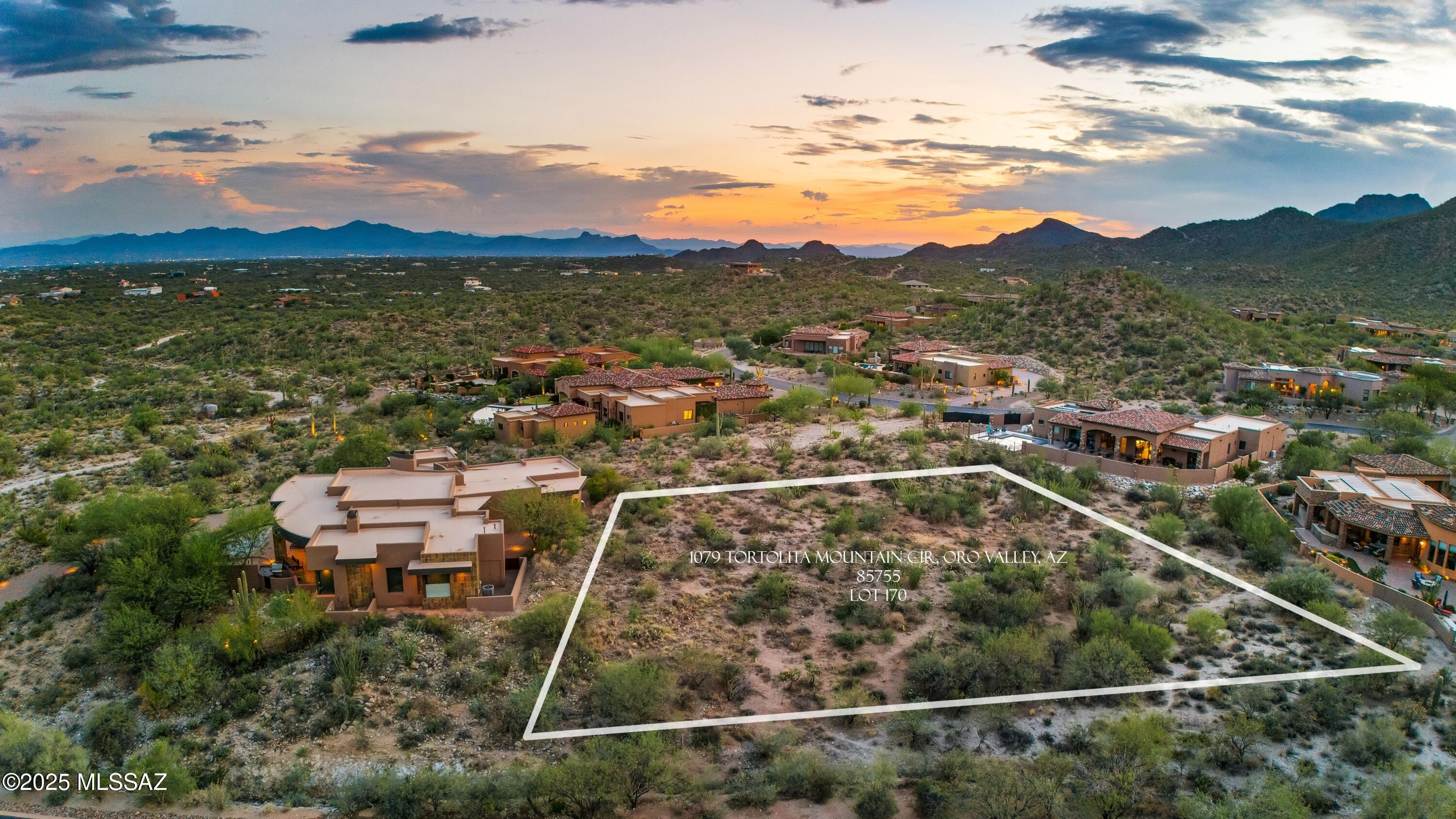 1079 W Tortolita Mountain Circle W 170